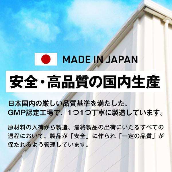 【単発】ハルクファクター オールインワン 配合 EAA ラフランス風味 630g