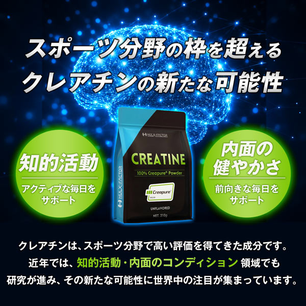 【単発】ハルクファクター クレアピュア 310g  クレアチン モノハイドレート 