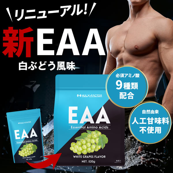 【単発】ハルクファクター EAA 520g