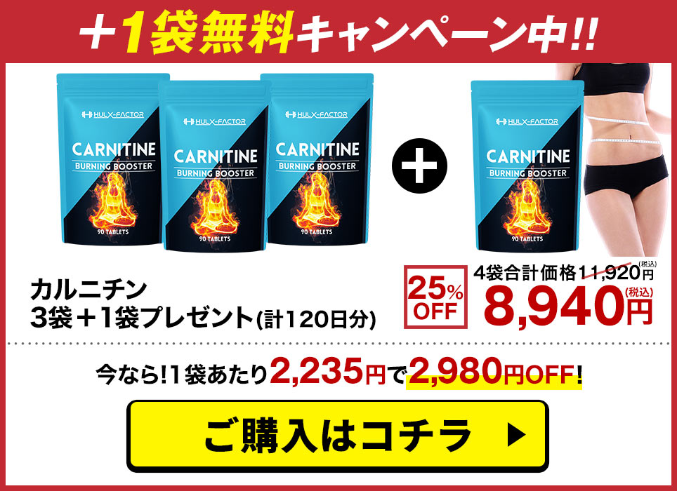 カルニチン4袋