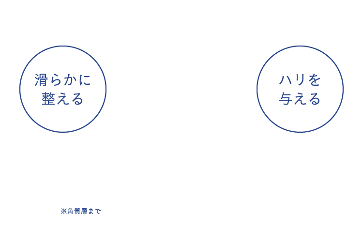 滑らかに整える ハリを与える