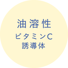 油溶性 ビタミンC 誘導体