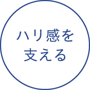 ハリ感を支える