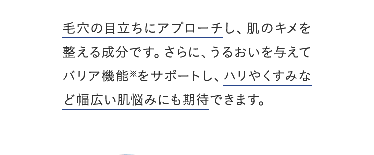 毛穴の目立ちにアプローチし、肌のキメを整える成分です。さらに、うるおいを与えてバリア機能をサポートし、ハリやくすみなど幅広い肌悩みにも期待できます。