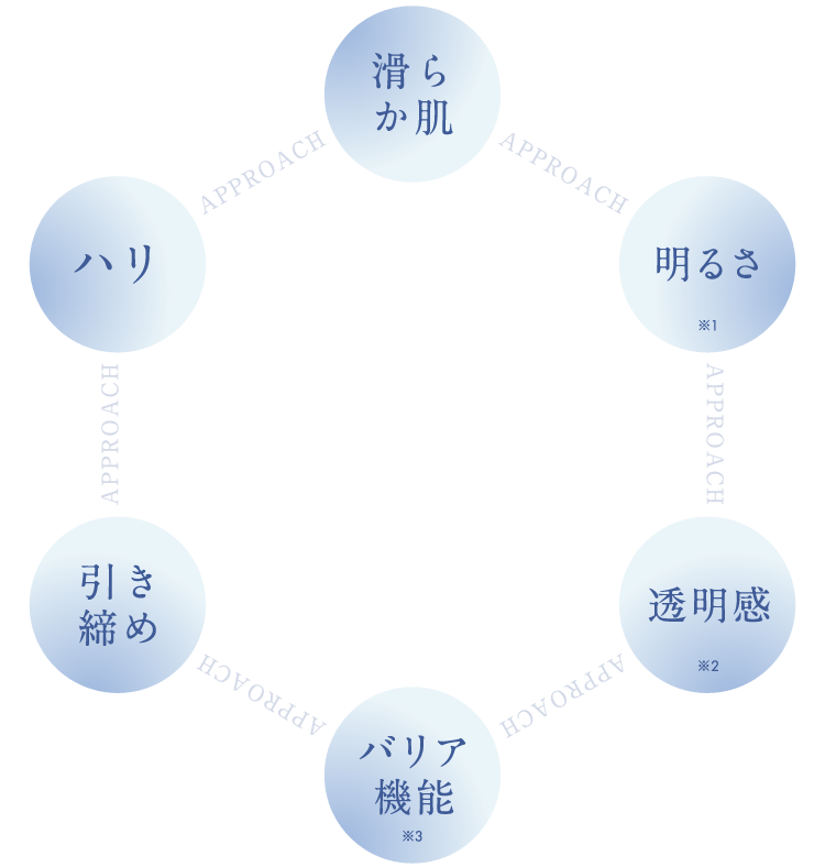 滑らか肌、明るさ、透明感、バリア機能、引き締め、ハリ