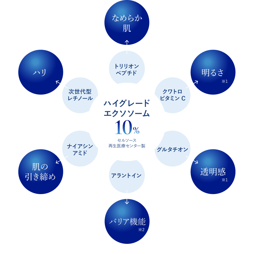 成分レーダーチャート