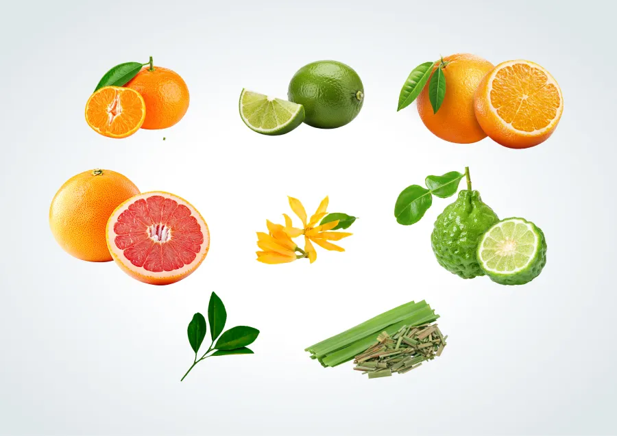 柑橘フローラル