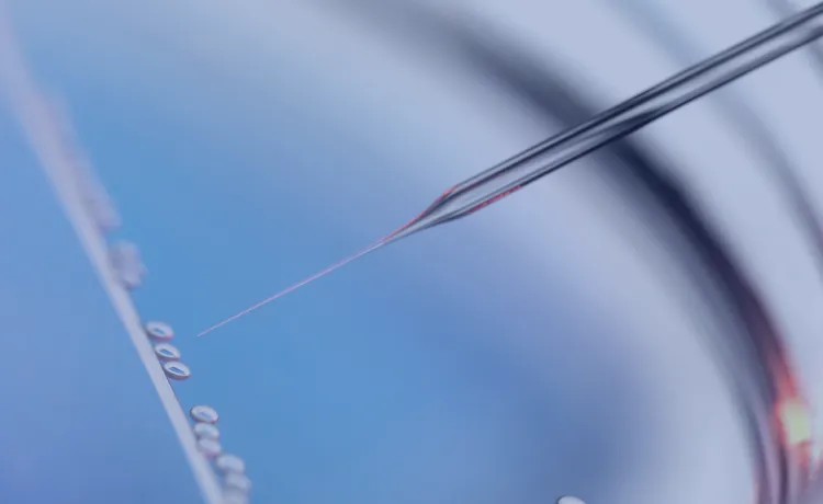 新時代の美容発想