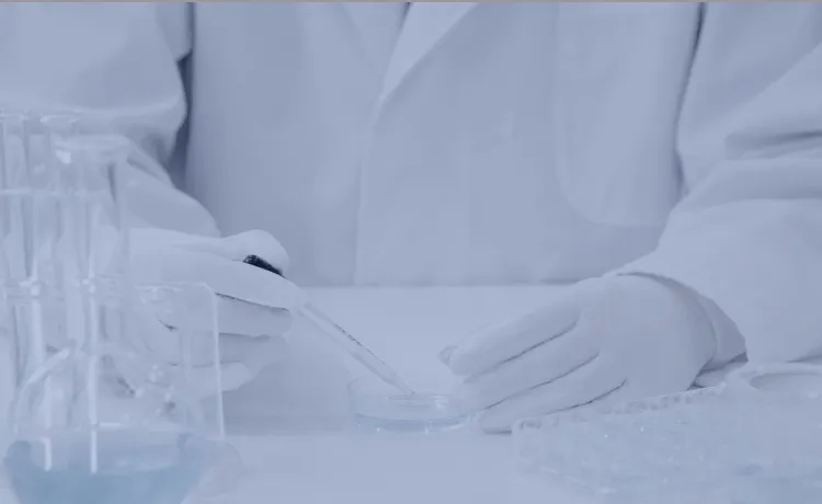 再生医療の知見