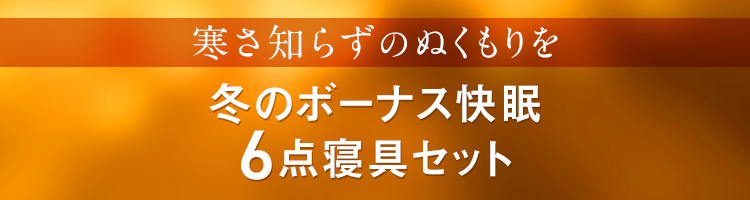 冬のボーナス快眠6点寝具セット