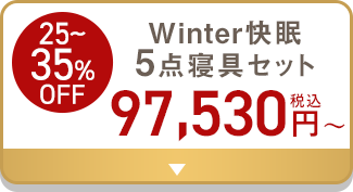 25〜35%OFF Winter快眠5点寝具セット