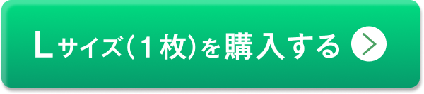 単品Lサイズを購入する