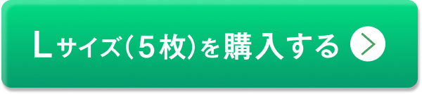 5枚セットLサイズを購入する