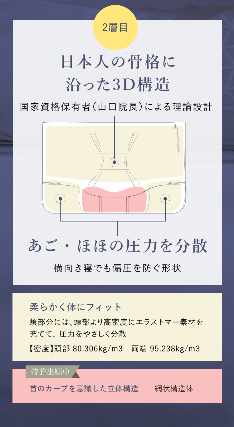 2層目日本人の骨格に沿った3D構造