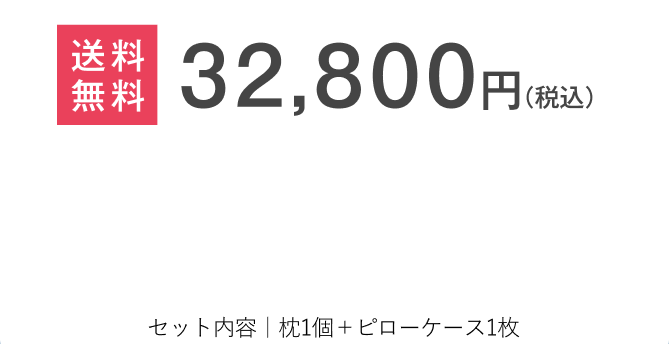 送料無料　32,800円