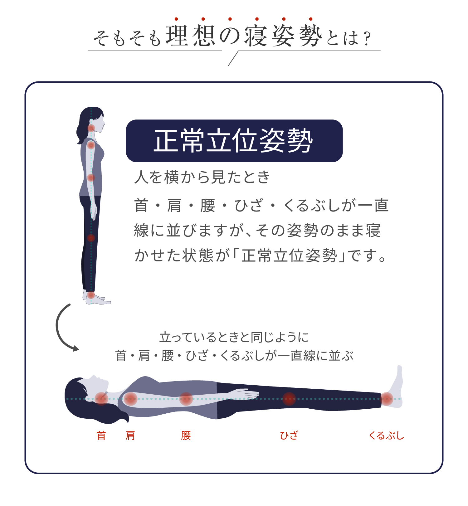 そもそも理想の根姿勢とは？