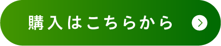 いますぐ注文する
