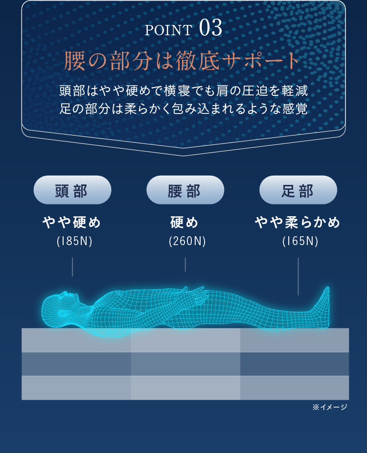 POINT03 腰の部分は徹底サポート