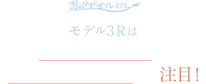 モデル3Rはに「腰へのサポート」と「寝返りのしやすさ」に注目