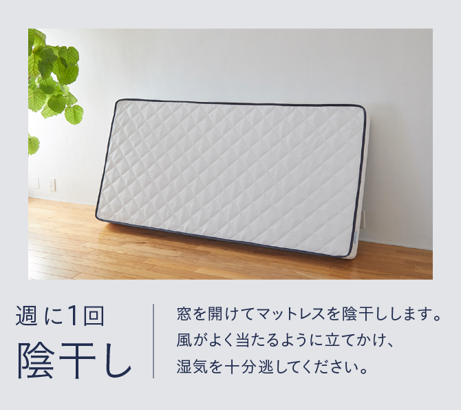 週に1回 陰干し 窓を開けて陰干しします。風がよく当たるように立てかけ、湿気を十分逃してください。