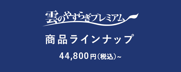 商品ラインナップ 44,800円（税込）~