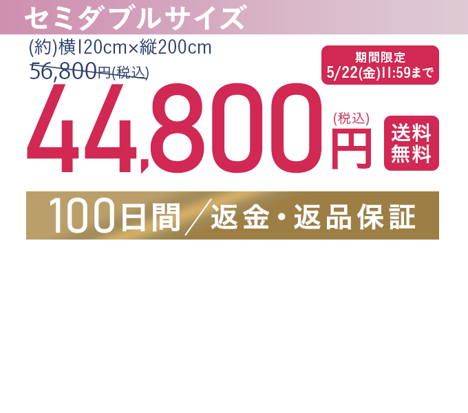 セミダブルサイズ 56,800円（税込）【送料無料】【100日間/返金・返品保証】