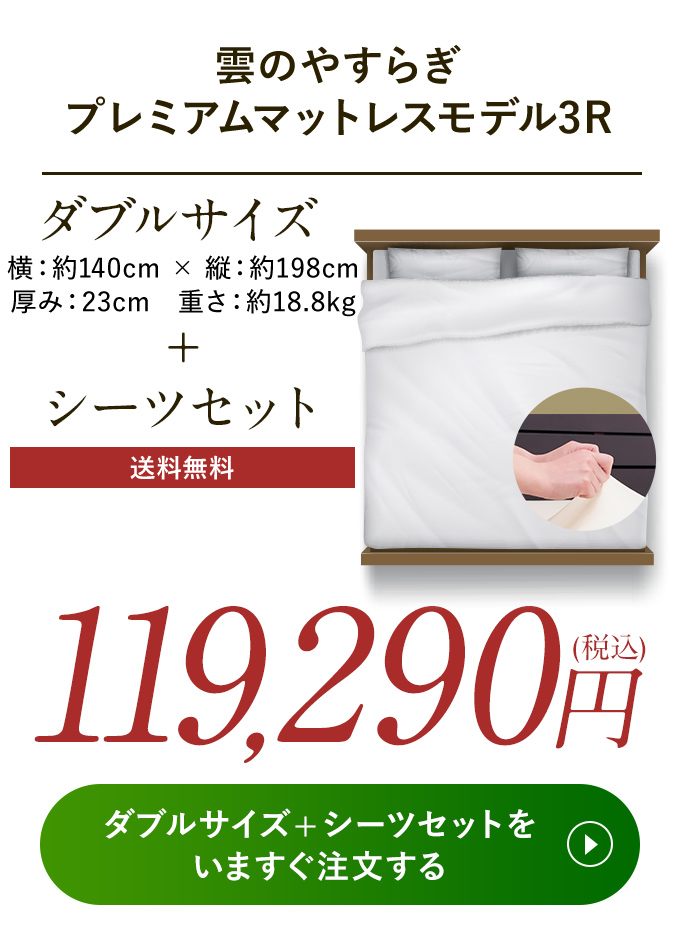 119,290円(税込)