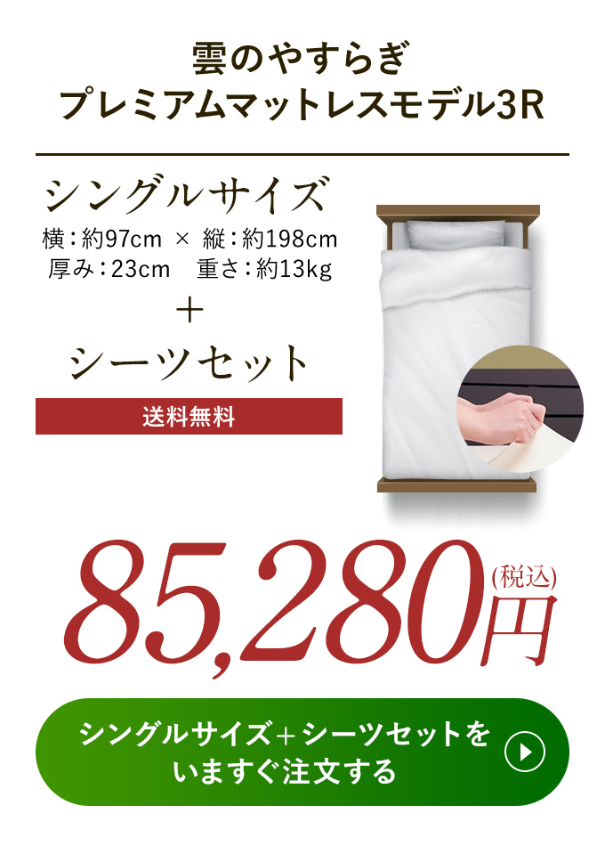 85,280円(税込)