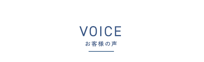 VOICE