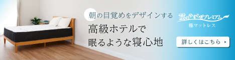 雲のやすらぎプレミアム 極マットレス