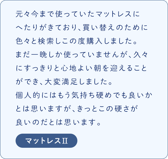 レビュー2