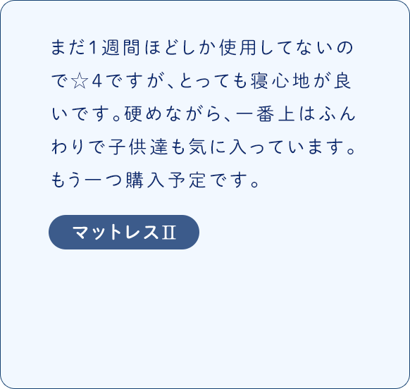 レビュー4