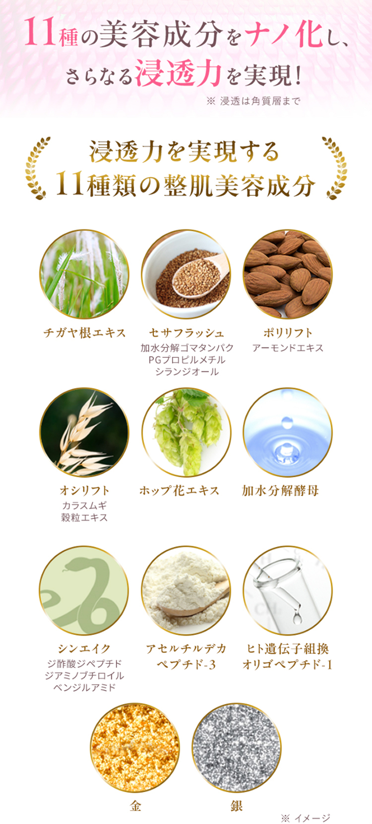 11種の美容成分をナノ化し、さらなる浸透力を実現！ ※浸透は角質層まで 浸透力を実現する11種類の整肌美容成分