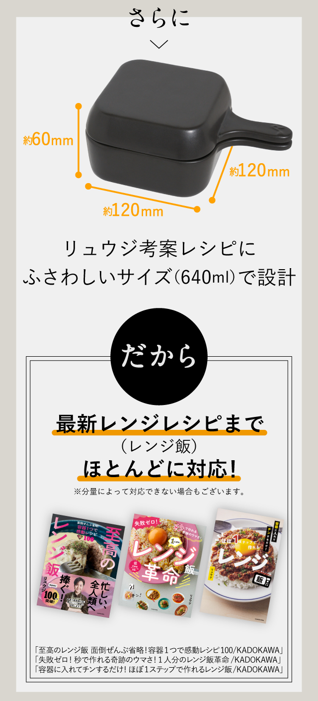 さらにリュウジ考案レシピにふさわしいサイズ