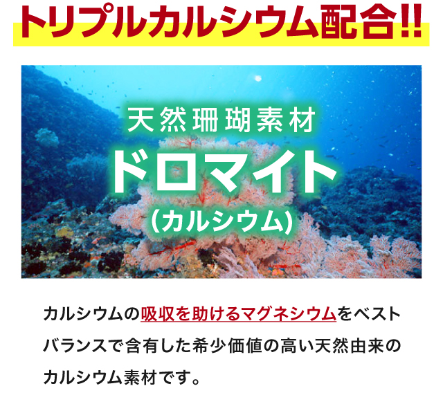 トリプルカルシウム配合!!【天然珊瑚素材 ドロマイト（カルシウム）】カルシウムの吸収を助けるマグネシウムをベストバランスで含有した希少価値の高い天然由来のカルシウム素材です。