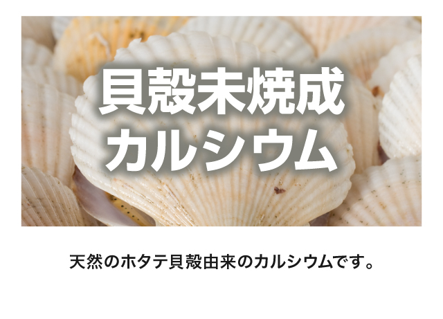 【貝殻未焼成カルシウム】天然のホタテ貝殻由来のカルシウムです。