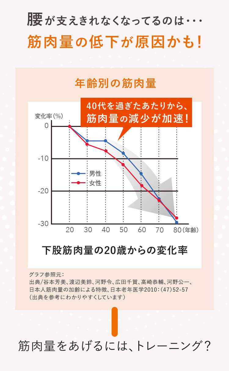 年齢別の筋肉量