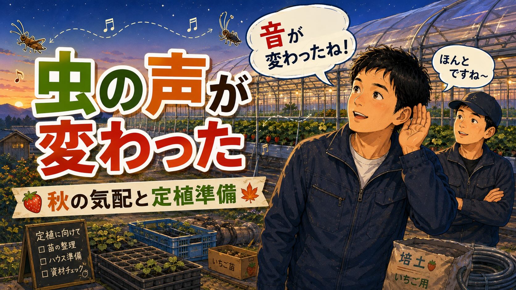 虫の声が変わった。まだ暑い8月の農園で感じる「秋の気配」と、近づくいちごの定植