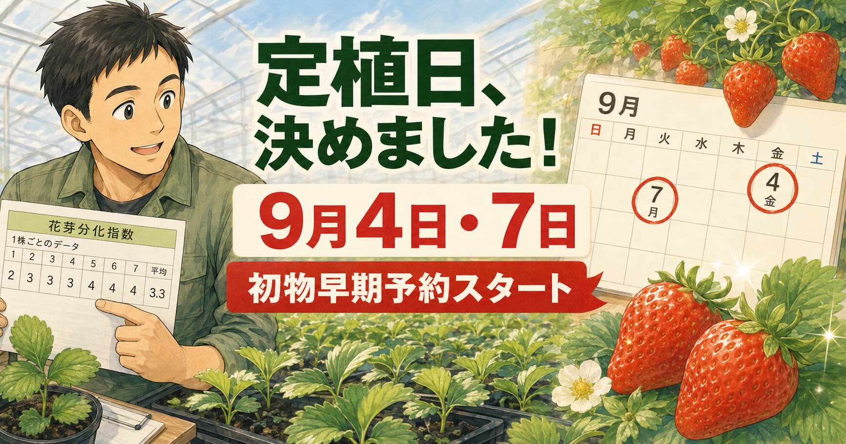 平均だけでは決められない。1株ずつ花芽を確認して、今年の越後姫の定植日を決めました