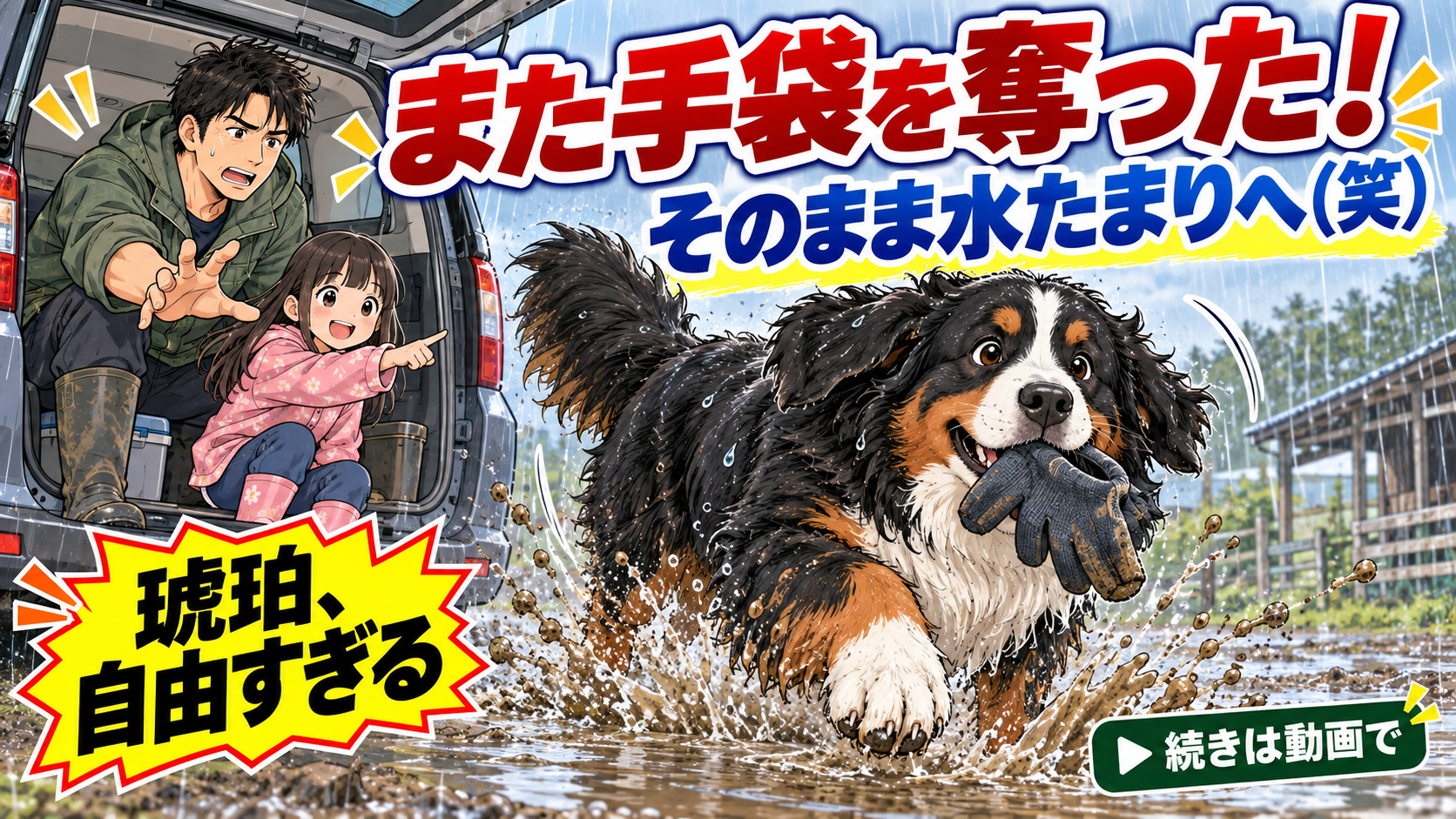 雨の日、水たまりへ一直線（笑）琥珀にまた仕事用の手袋を奪われました