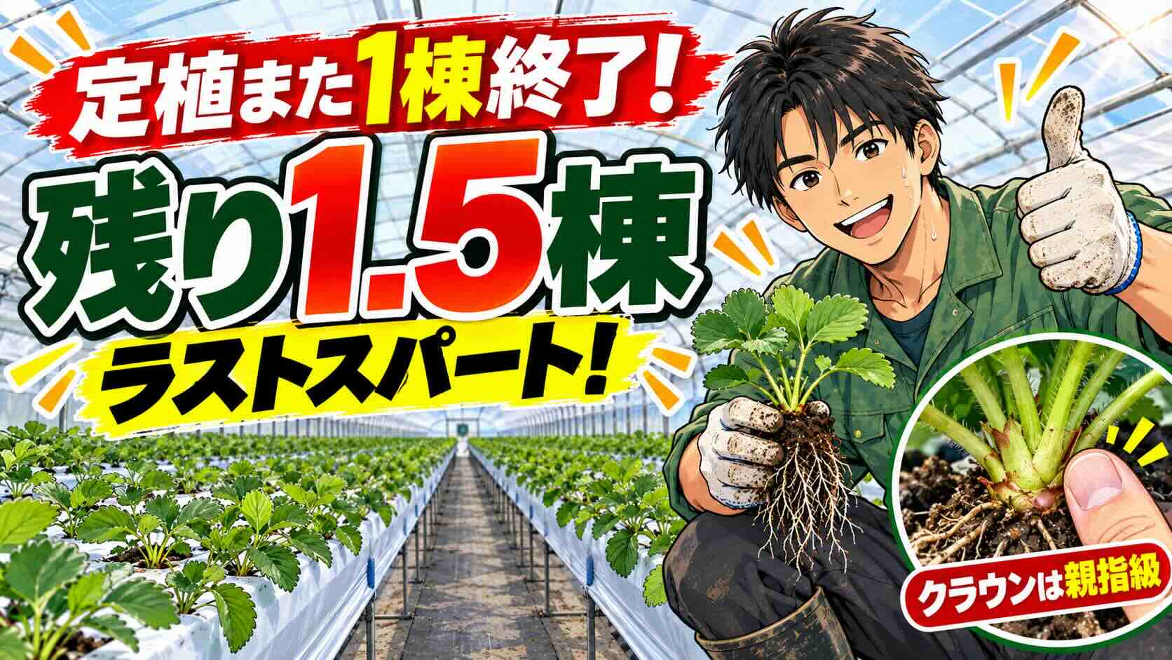 定植しながら、もう来シーズンの話（笑）良い苗を見て決める「続ける・やめる・試す」の経営判断