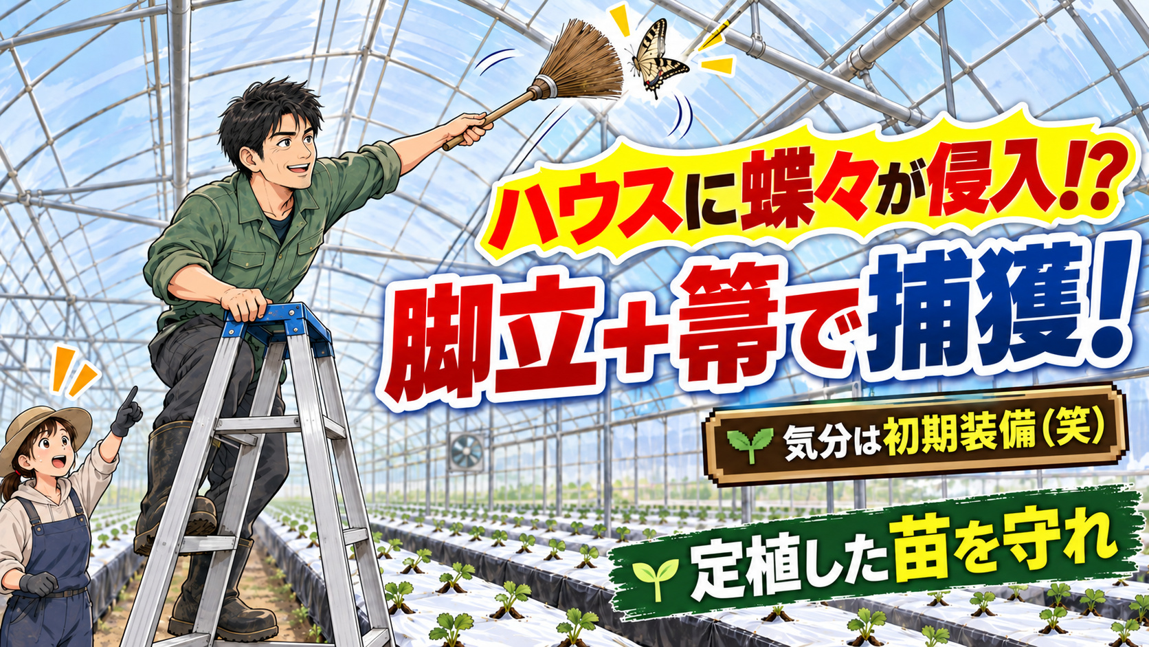 定植翌日のハウスに蝶が侵入（笑）いちご農家が「かわいい」だけでは済ませられない理由