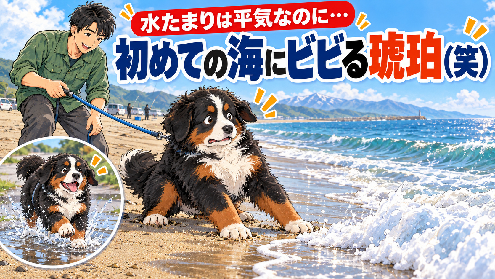 水たまりは平気なのに海は怖い（笑）琥珀、初めての日本海へ