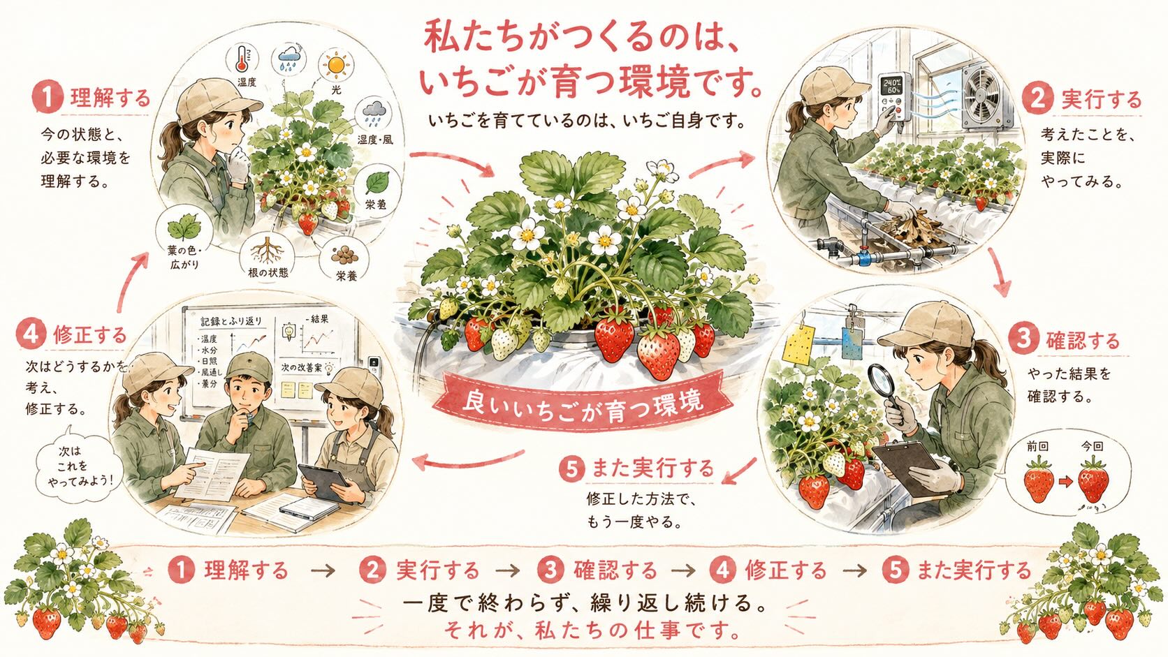理解、実行、確認、修正を繰り返して良いいちごが育つ環境をつくる仕事