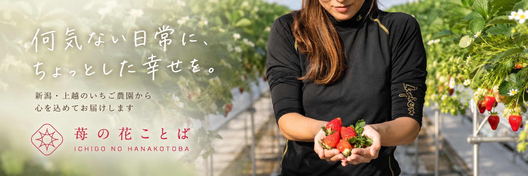 苺の花ことばのいちご農園紹介