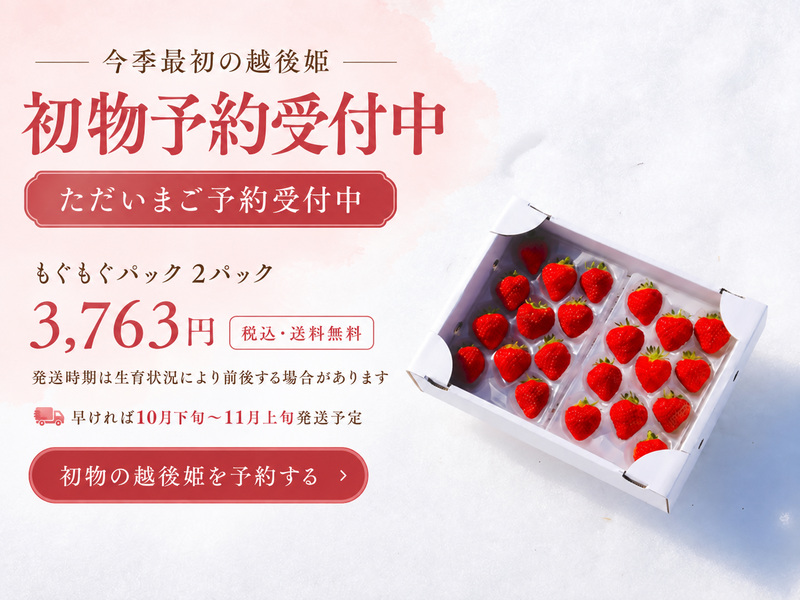 初物予約受付中 越後姫もぐもぐパック2パック