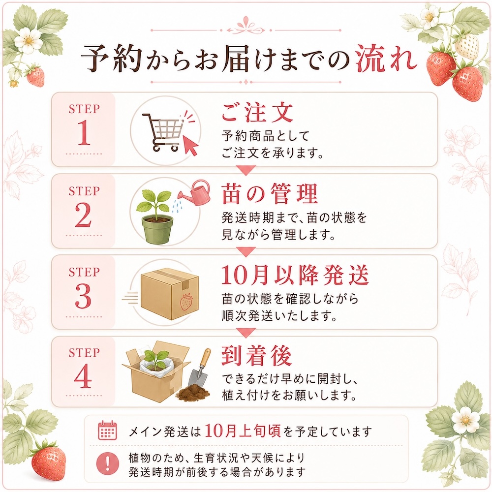 越後姫大苗 予約からお届けまでの流れ