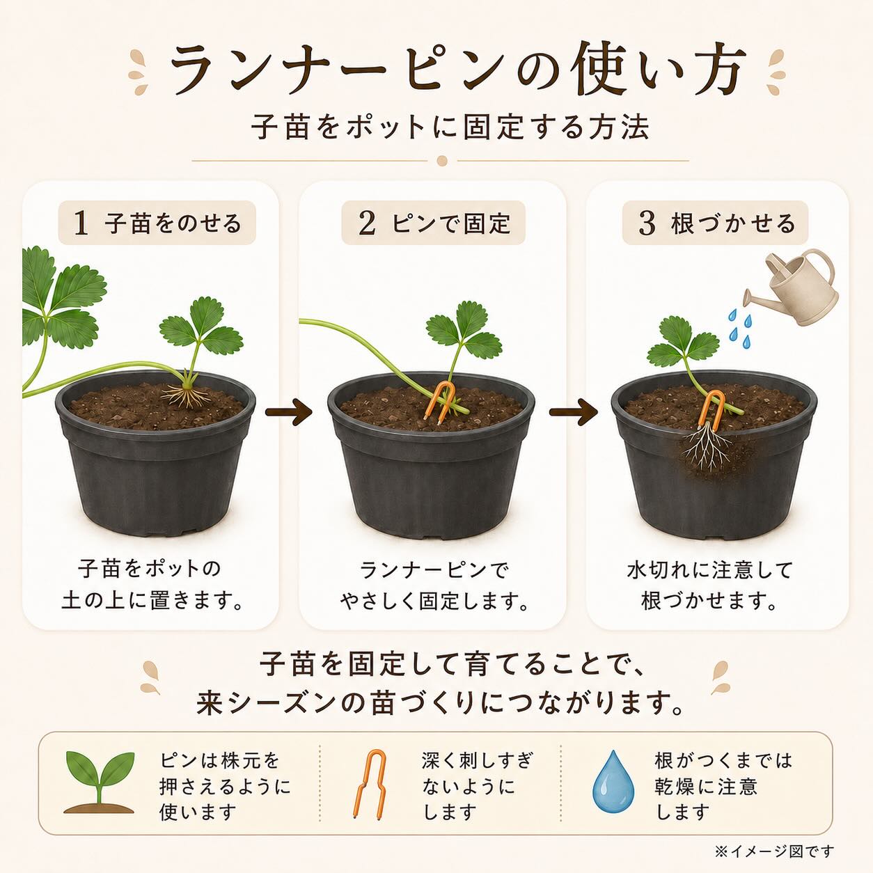ランナーピンで子苗を固定する使い方イラスト