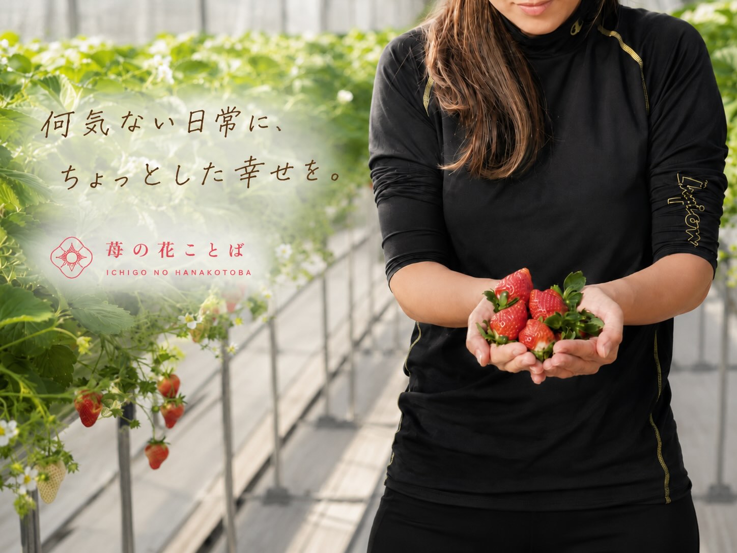 新潟県上越市のいちご専門農園 苺の花ことば