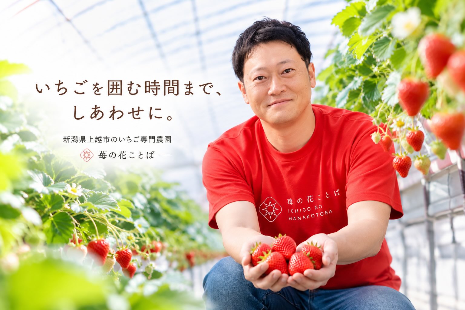 新潟県上越市のいちご専門農園 苺の花ことば